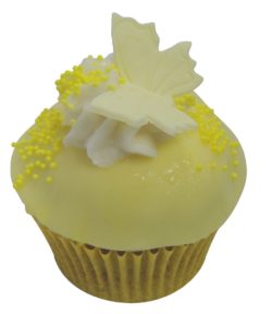 Hummingbird Happiness