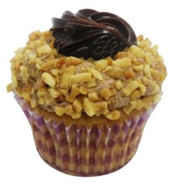 Peanut butter and chocolate perfection