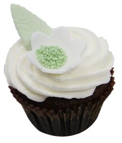 Vegan G/F*- Chocolate Mint Equality