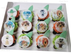 Raa Raa Mini Cupcakes