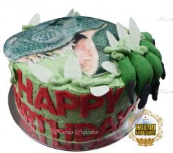 Dinosaur Cake