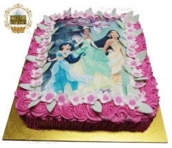Disney Princess's Slab Cake