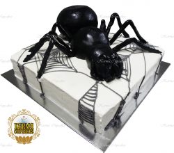 1/2 Slab with 3D spider
