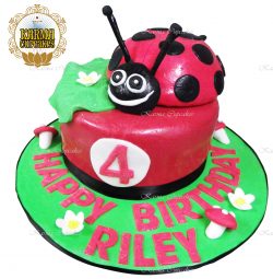 Ladybug 3D Birthday Cake