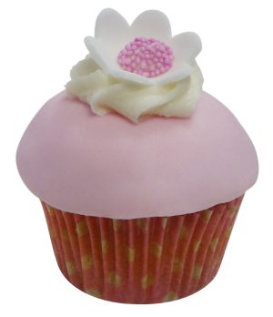 Blooming Vanilla and Raspberry Blossom