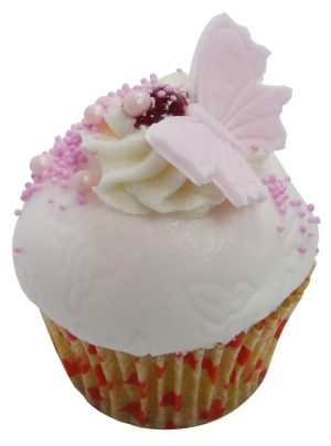 Strawberry and Vanilla Metamorphis Butterfly Cake